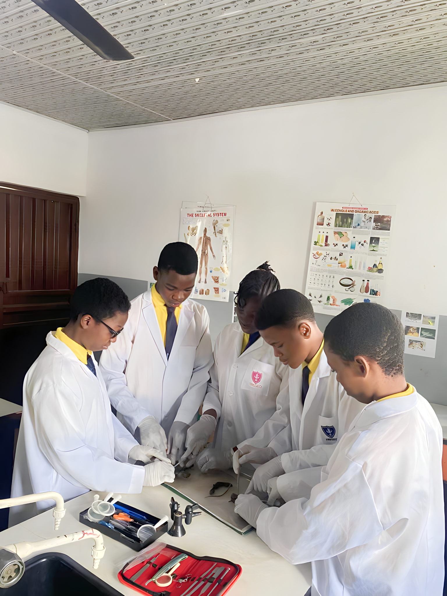 Tregeo Schools Science Students